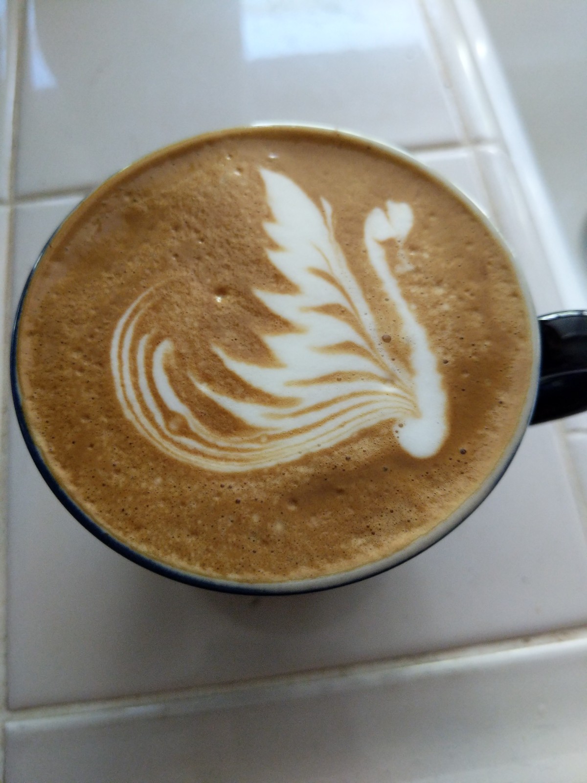 The Ugly Duckling The Espresso Chronicles